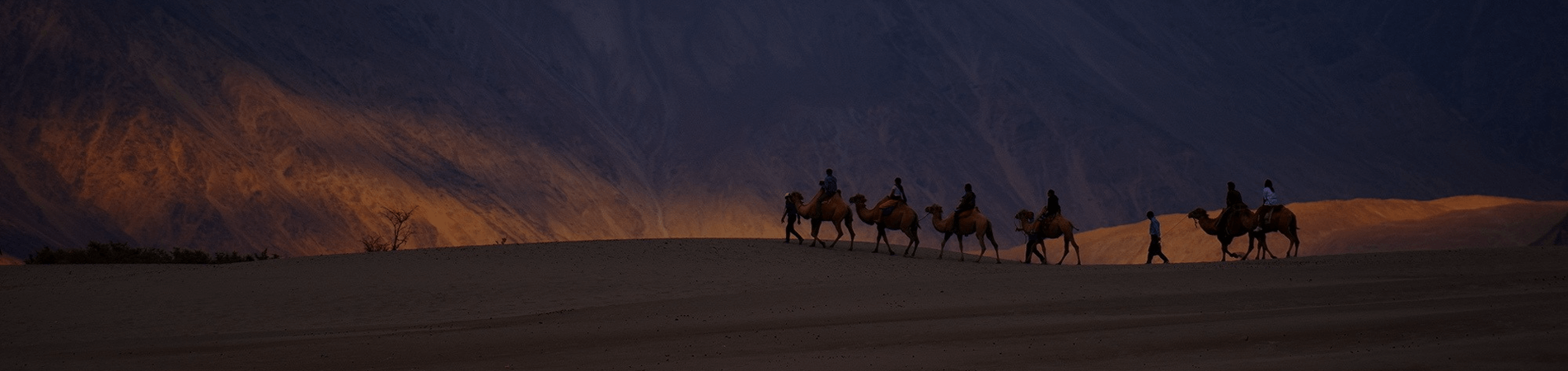 Ladakh Must Be on Your Bucket List This Summer