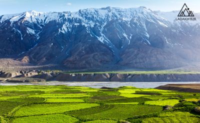 Leh Ladakh in Summer