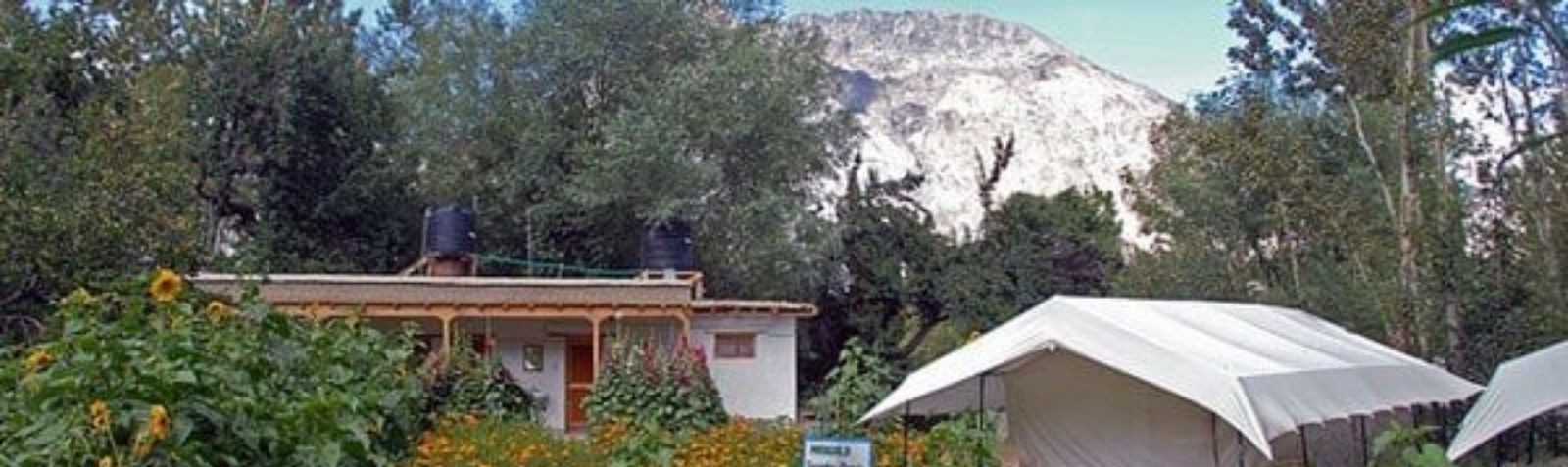 Organic Retreat Nubra