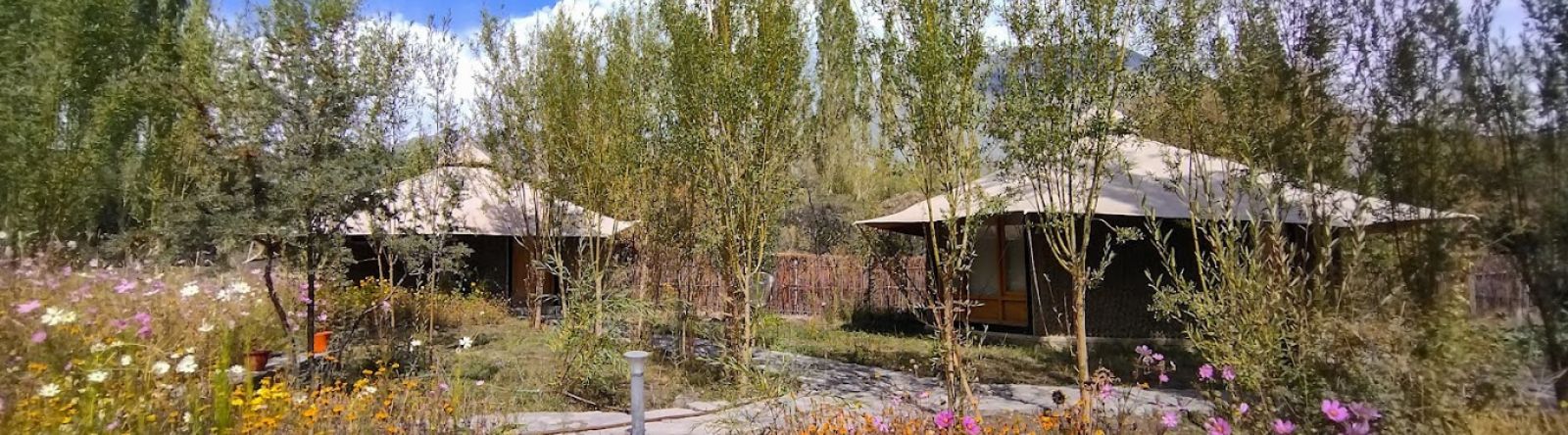 Chalet Seabuckthron Nubra