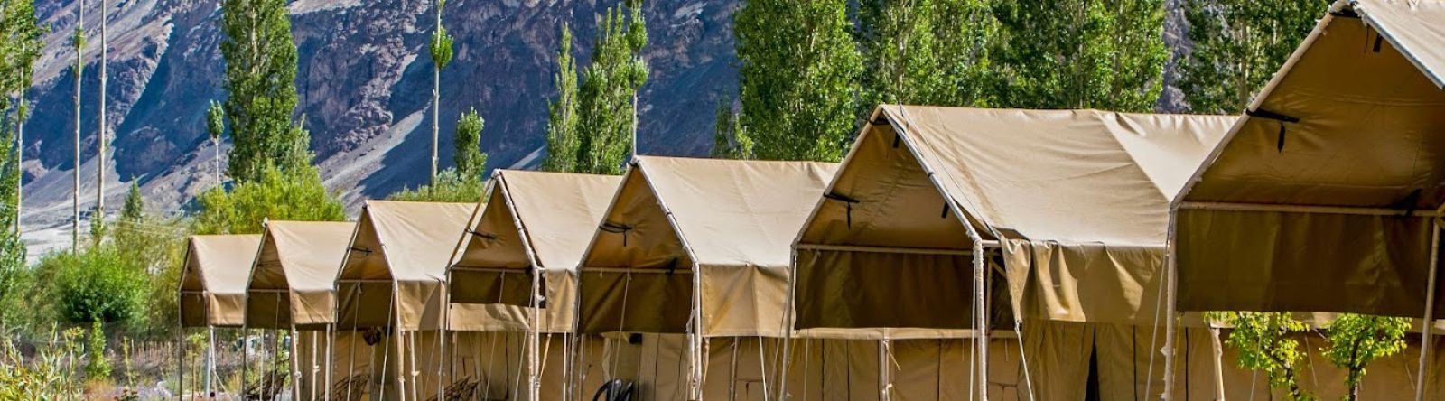Highland Desert Camp Nubra