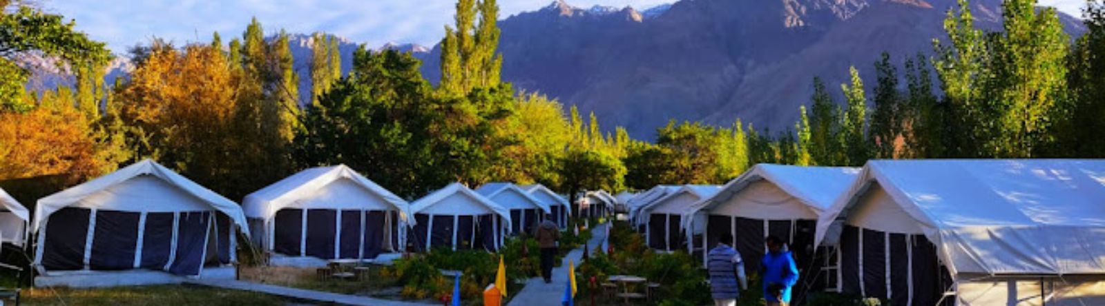 Regal Camp Nubra