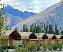 Highland Desert Camp Nubra