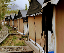 Nubra Pika Camp