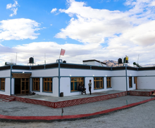 Pangong Nest