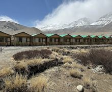 Pangong Woods