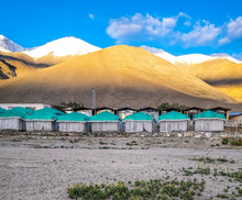 Pangong Willow