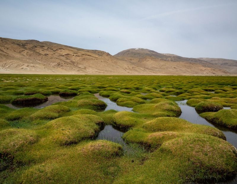 Puga Valley: Ladakh Hidden Thermal Wonderland