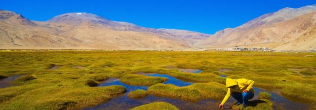 Puga Valley: Ladakh Hidden Thermal Wonderland