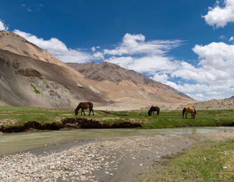 Explore the Indus River Bank