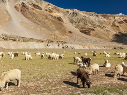 Explore the Nomadic Lifestyle