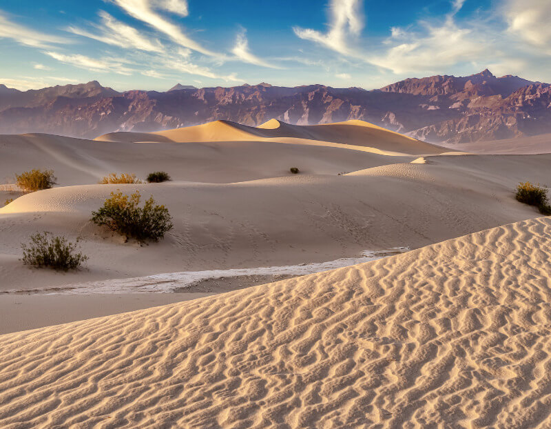 Sand Dunes Nubra Valley